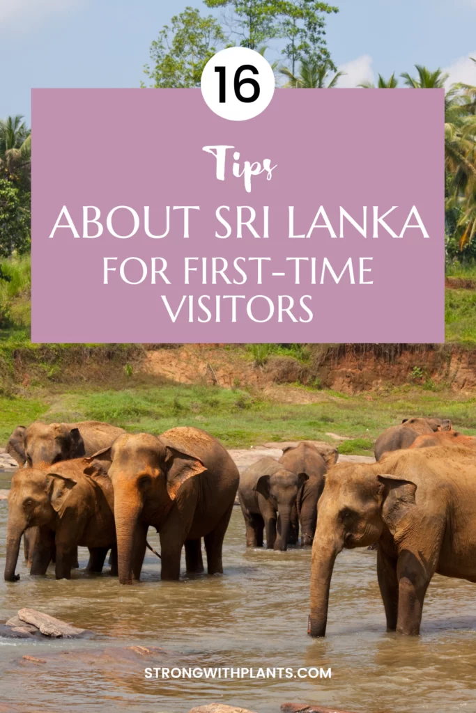 Sri Lanka Travel Guide With 16 Travel Tips 1 Pinterest poster: Sri Lanka Travel Guide with 16 Tips