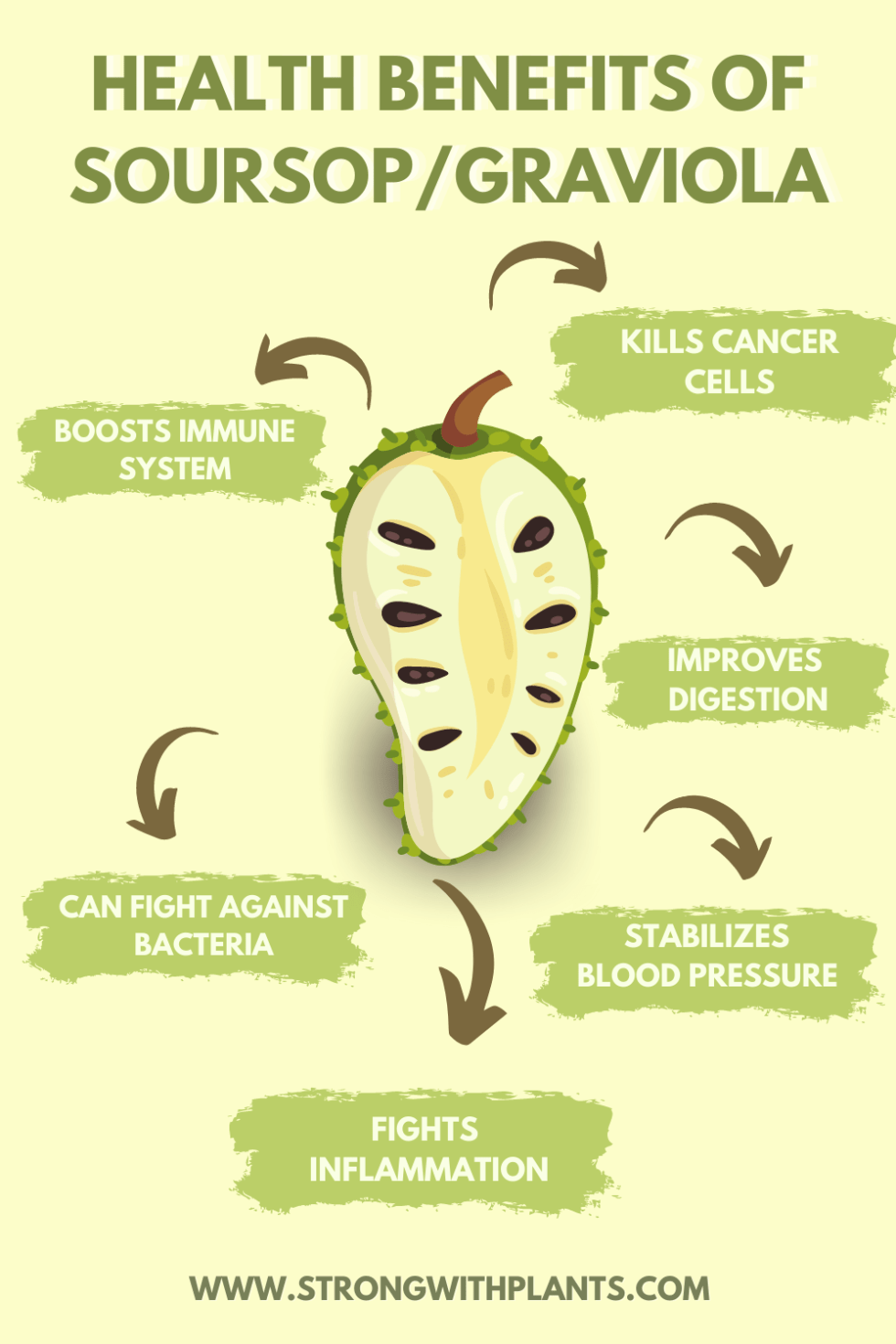Sri Lankan Fruits Superfruit Soursop/Graviola Strong With Plants