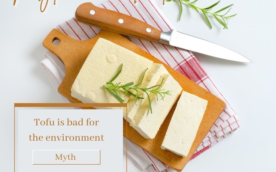 Is Tofu Good For You And The Earth? 5 Common Myths Examined