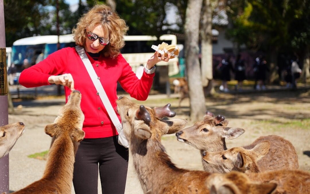 Nara Deer Park: Home to Japan’s Unique Bowing Deer