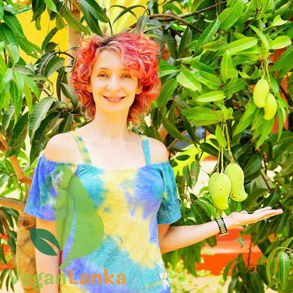 Mango: amazing fruits you must try in sri lanka