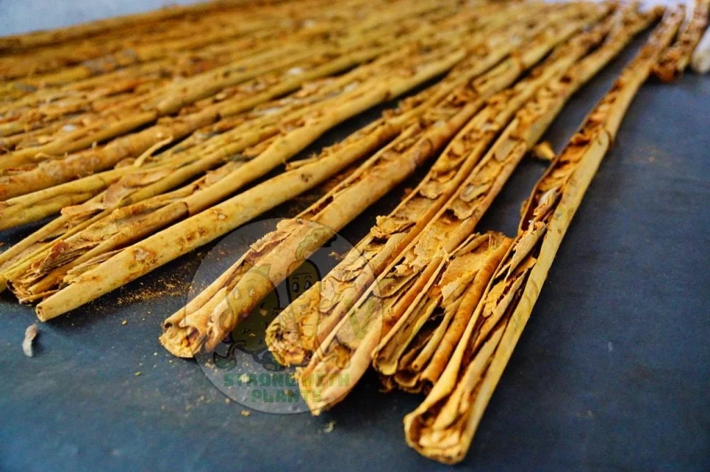 All About True Ceylon Cinnamon & Cassia | 7 Benefits & Risks 7 ORG DSC02533 1