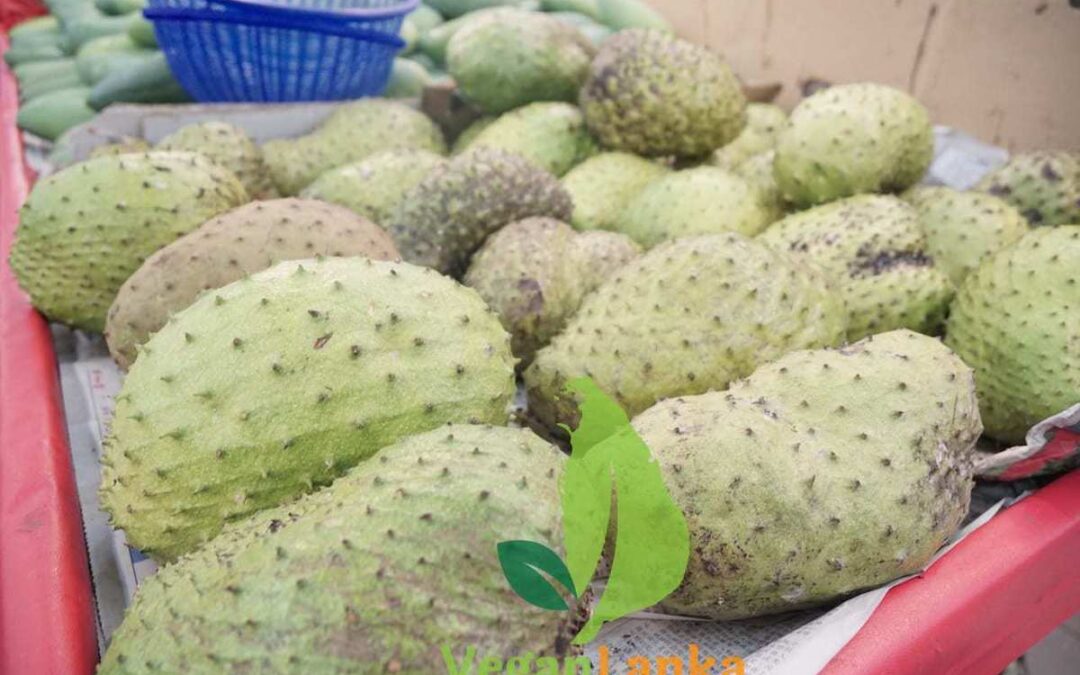Sri Lankan Fruits – Superfruit Soursop/Graviola