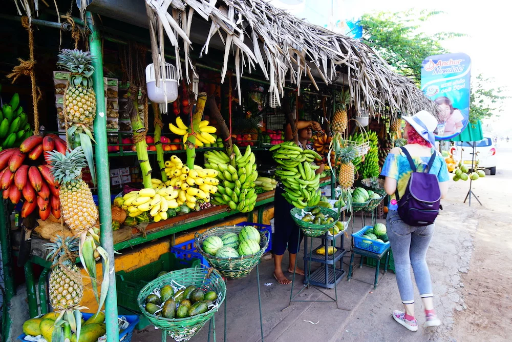 16 Important Tips About Sri Lanka for First-time Visitors 16 Important Tips About Sri Lanka for First-time Visitors