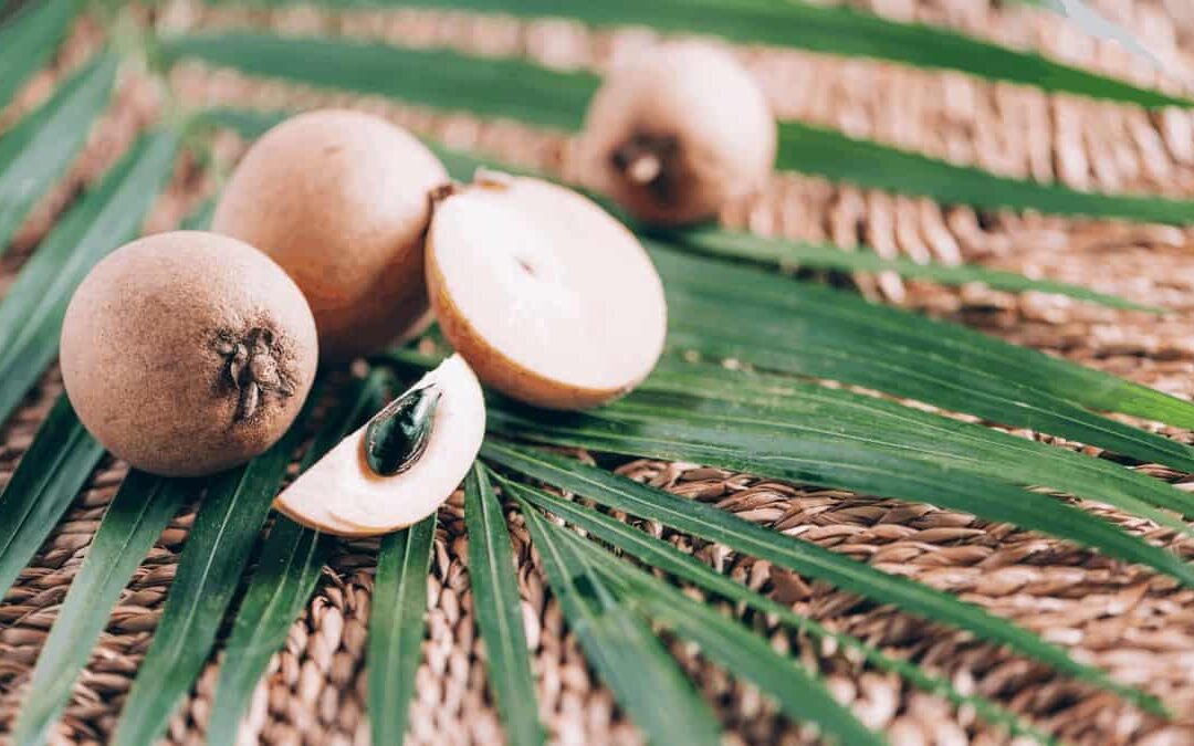 Sapodilla: An Exotic Fruit You Must Try & 5 Health Benefits