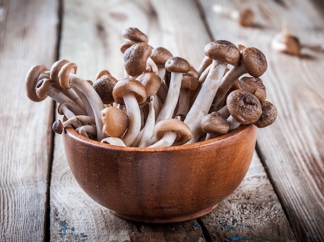 Brown beech mushrooms 2021 08 26 16 01 04 utc 1