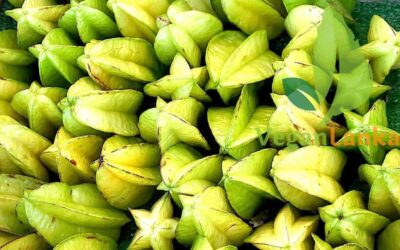 6 Benefits of Star Fruit, Dangers, and Best Ways to Eat