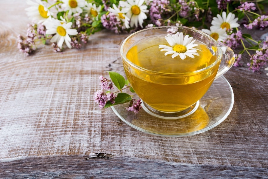 Cup of green herbal camomile tea and herbs 2021 07 26 16 57 26 utc