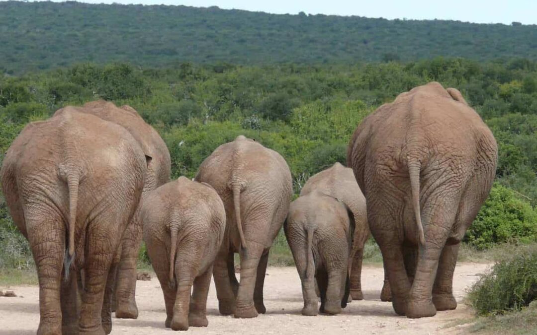 Why Vegans Fart So Much and the 9 Best Ways to Deal With It