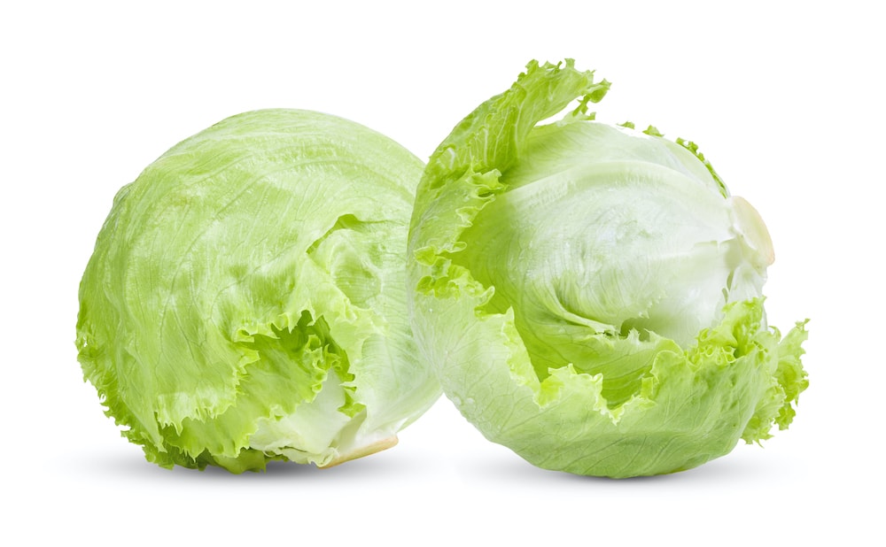 Green iceberg lettuce on white 2022 09 13 17 03 56 utc