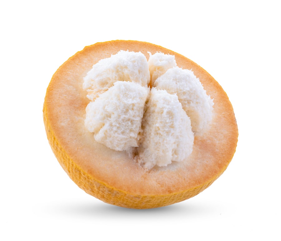 Half santol fruit isolated on white background 2021 09 03 16 01 42 utc