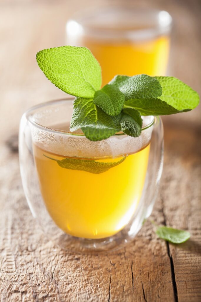 Herbal sage tea with green leaf in glass cup 2021 08 26 16 57 44 utc