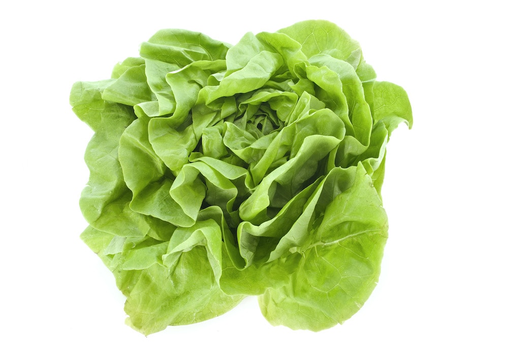 30 Best Vegetables For Keto Diets &Amp; 19 To Avoid 16 Lettuce 2021 08 26 17 37 05 utc