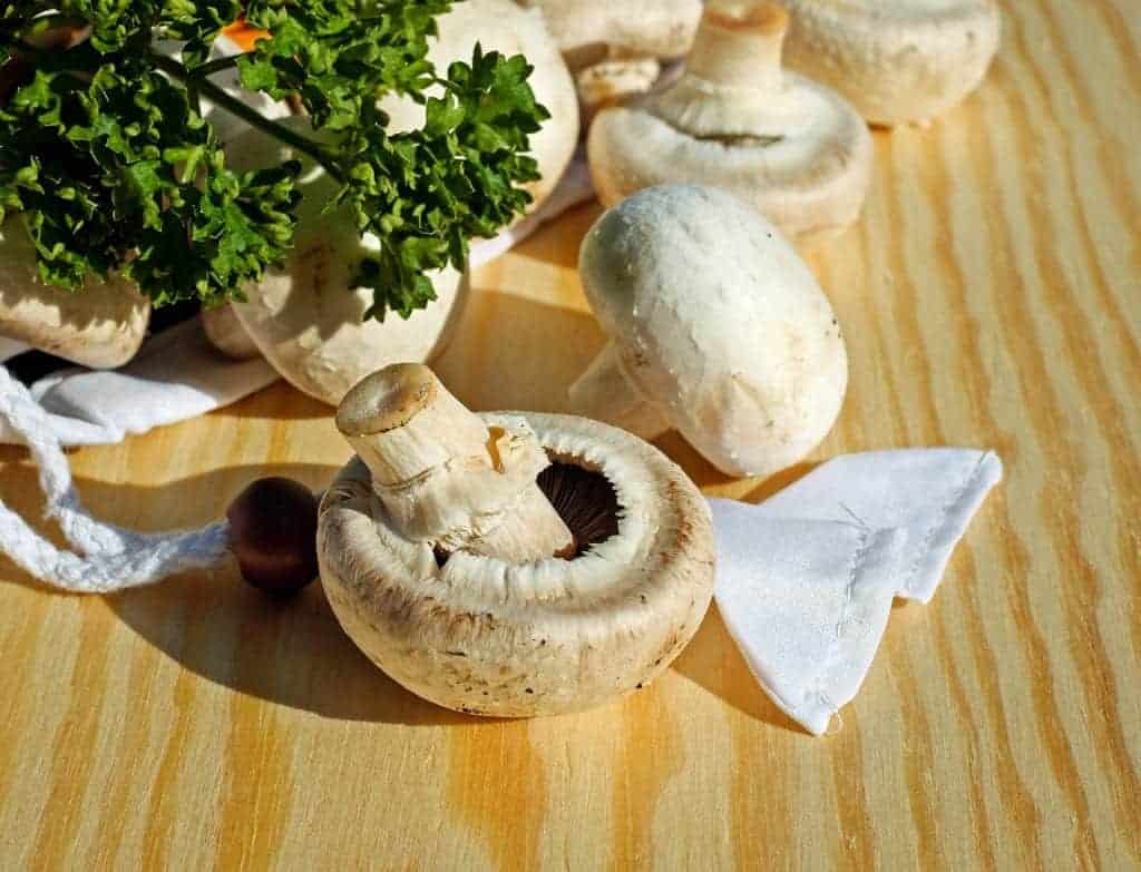 Mushrooms rich in vitamin d