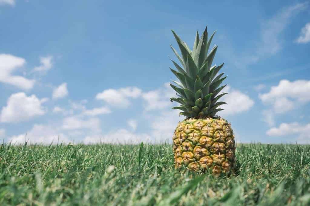 Pineapple 867245 1920