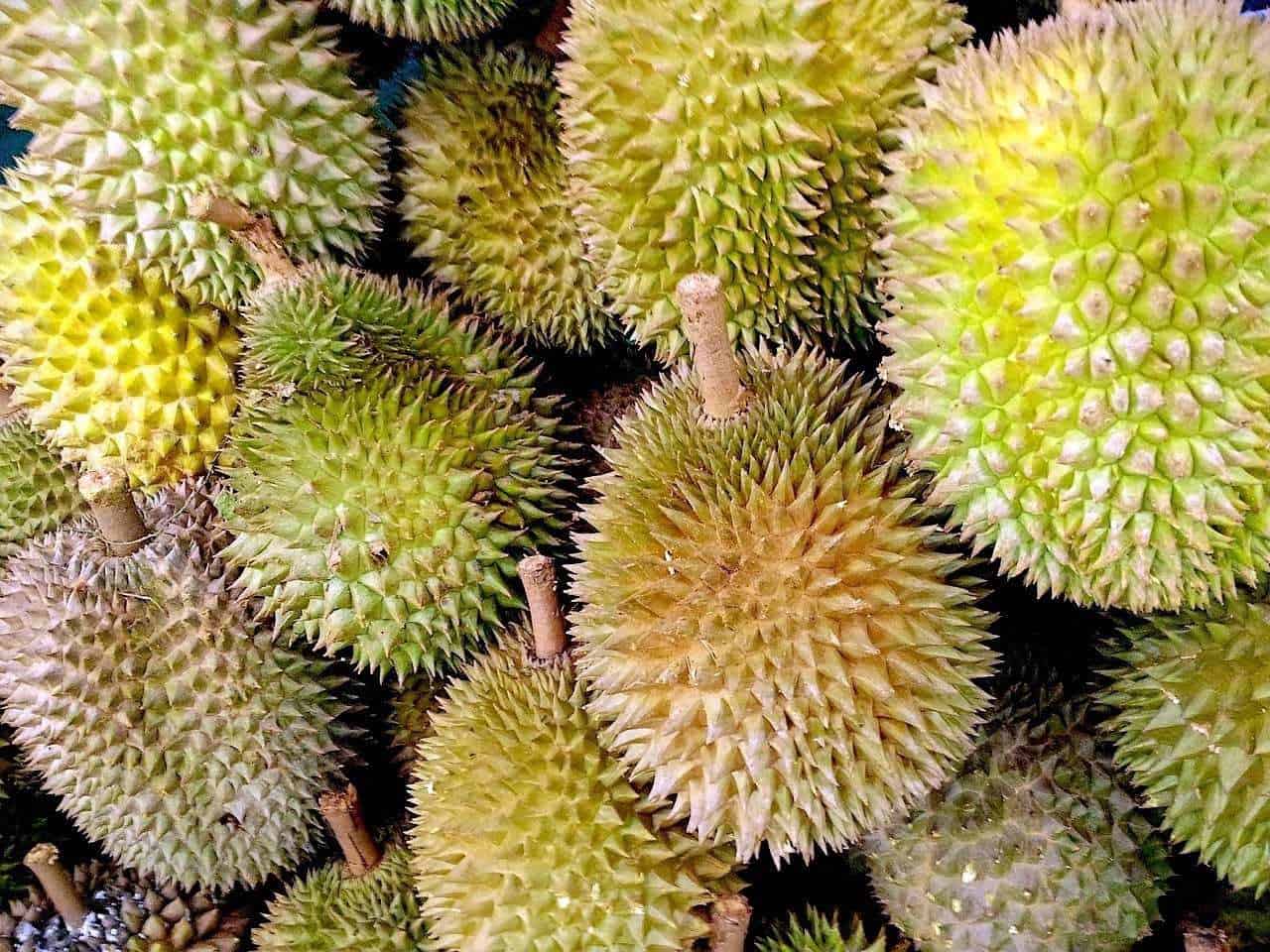 All You Can Eat Durian Buffet in Malaysia