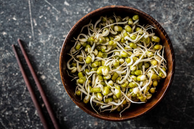 Sprouted green mung beans mung sprouts in bowl 2021 09 02 08 43 30 utc